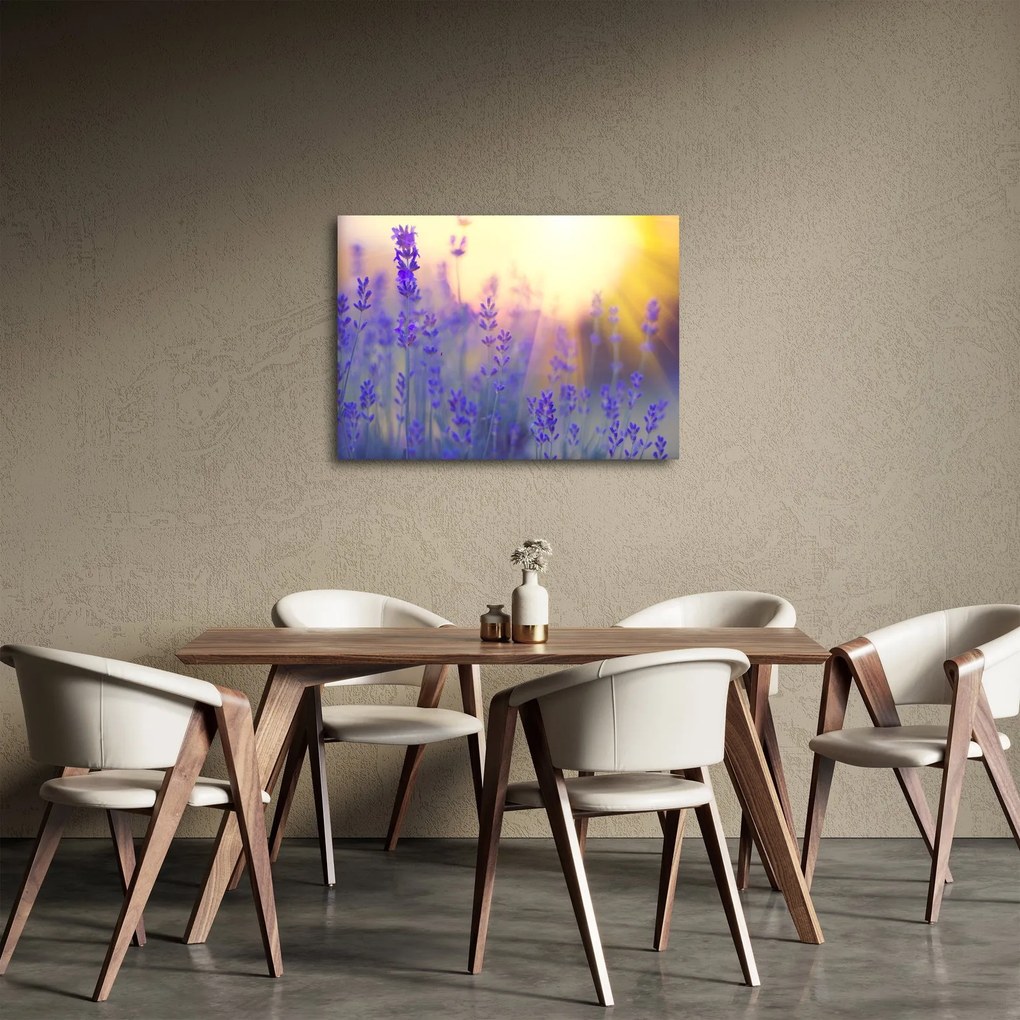 Obraz - Lawenda (70x50 cm)