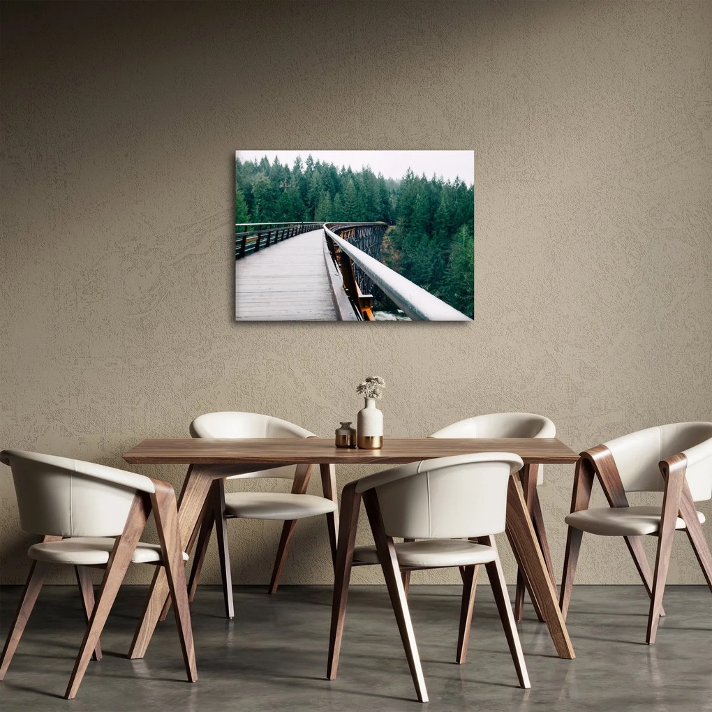 Obraz - Most do wierzchołków drzew (70x50 cm)
