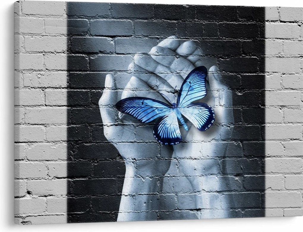 Obraz - Motyl na ścianie (70x50 cm)