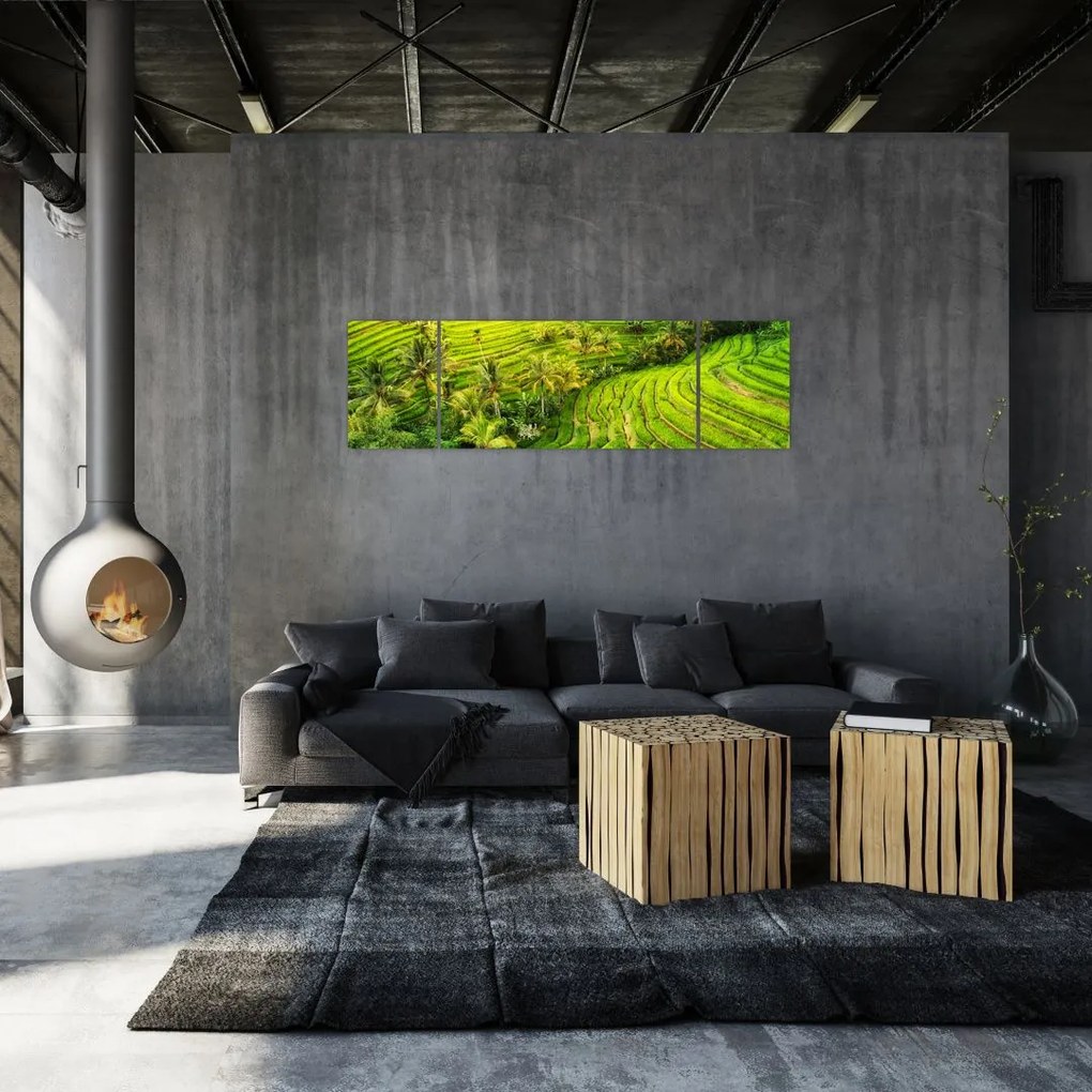 Obraz - Pola ryżowe (170x50 cm)