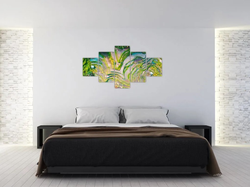 Obraz pól ryżowych z lotu ptaka (125x70 cm)