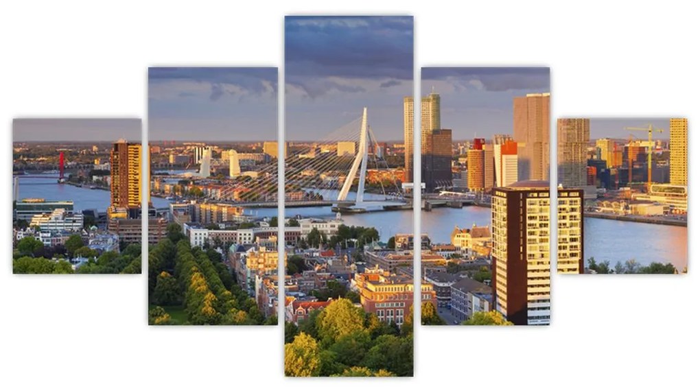 Obraz - Panorama Rotterdamu, Holandia (125x70 cm)