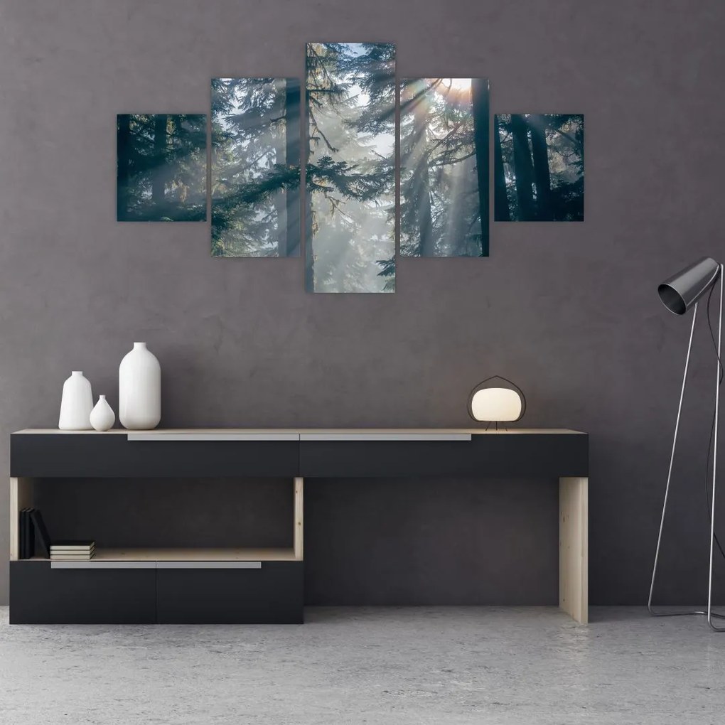 Obraz drzew, przez które prześwieca słońce (125x70 cm)