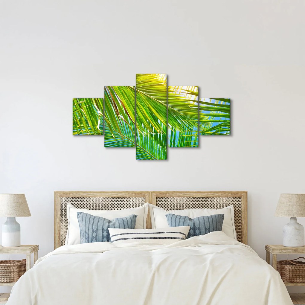 Obraz - Liście palmowe (125x70 cm)