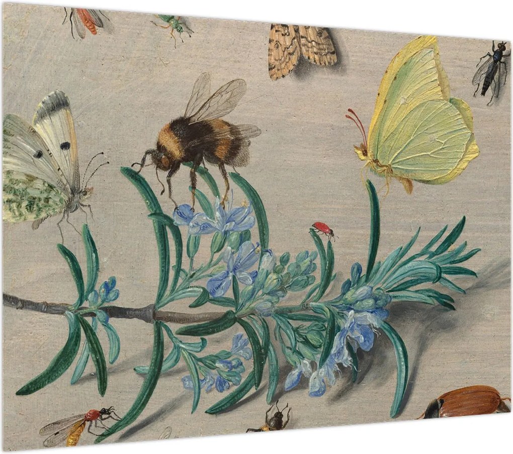 Obraz - Jan van Kessel the Elder, Insects and a Sprig of Rosemary, reprodukcje (70x50 cm)