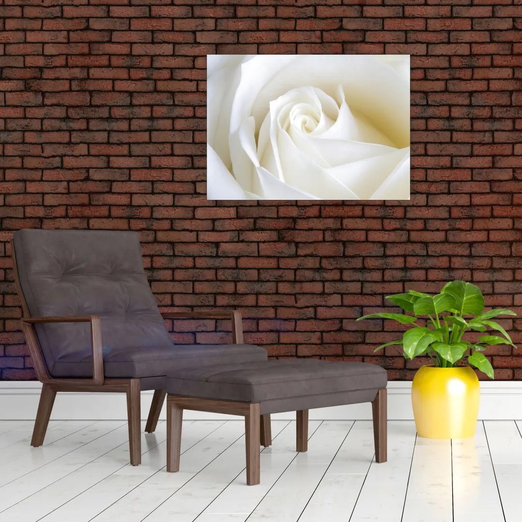 Obraz na szkle białej róży (70x50 cm)