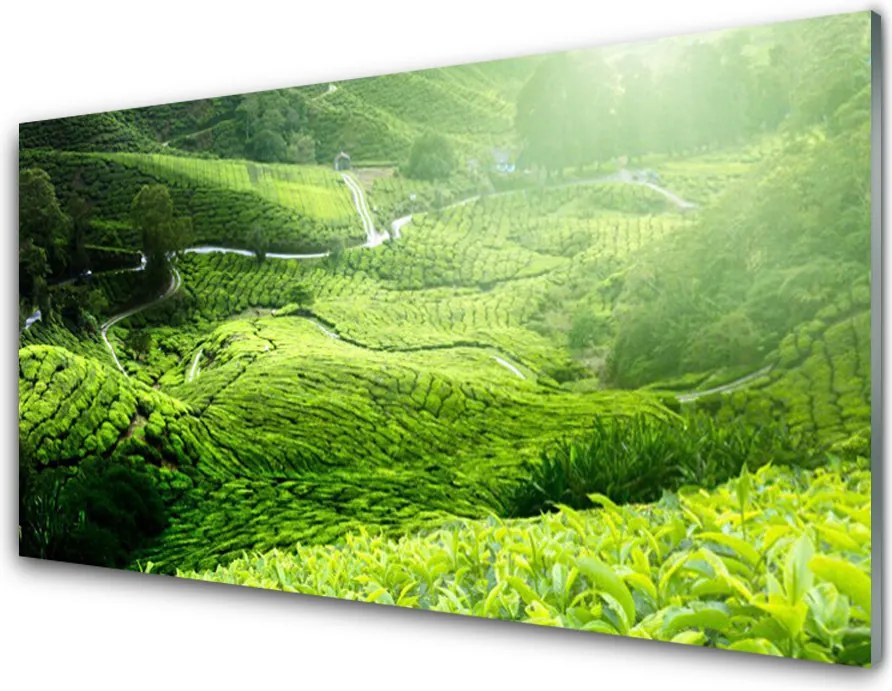 Panel Kuchenny Zieleń Naturalnej Łąki