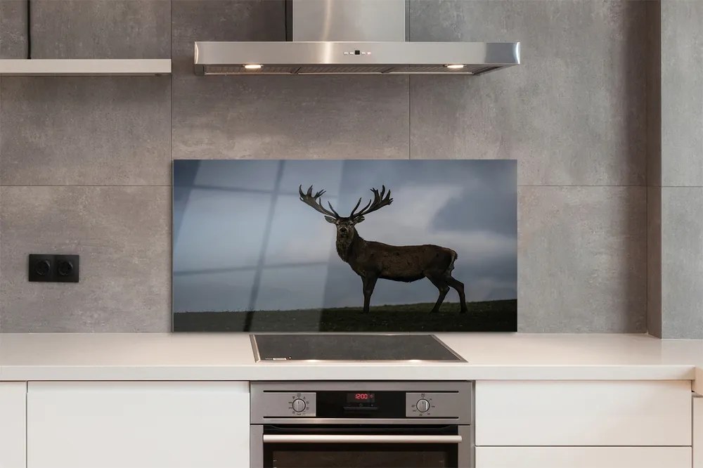 Panel nad Blat Kuchenny Jeleń w Nocnej Scenerii