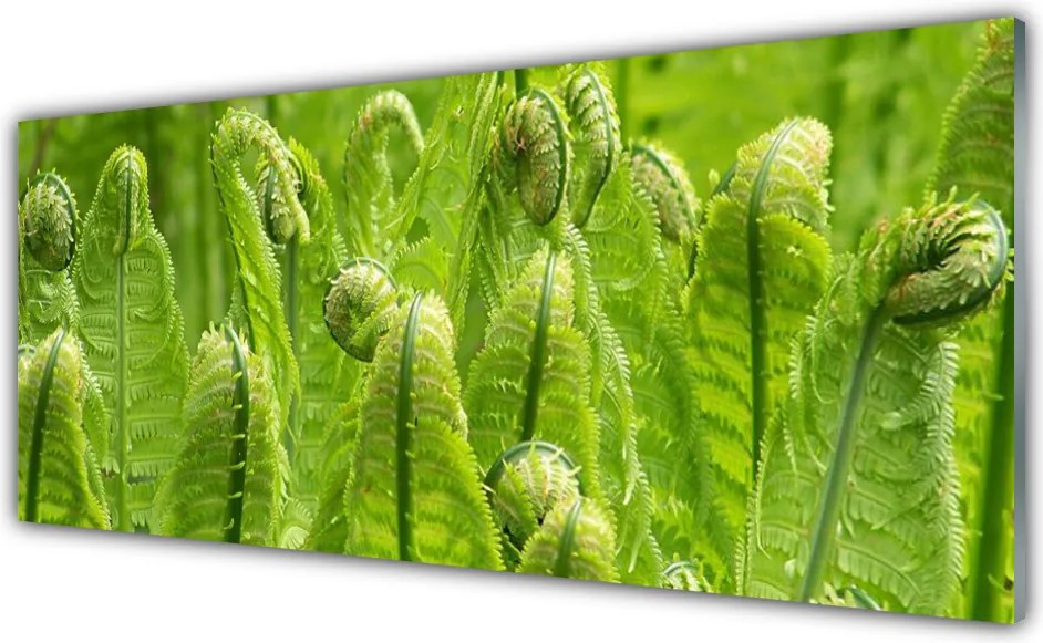 Panel Szklany Świeżość Zielonych Liści