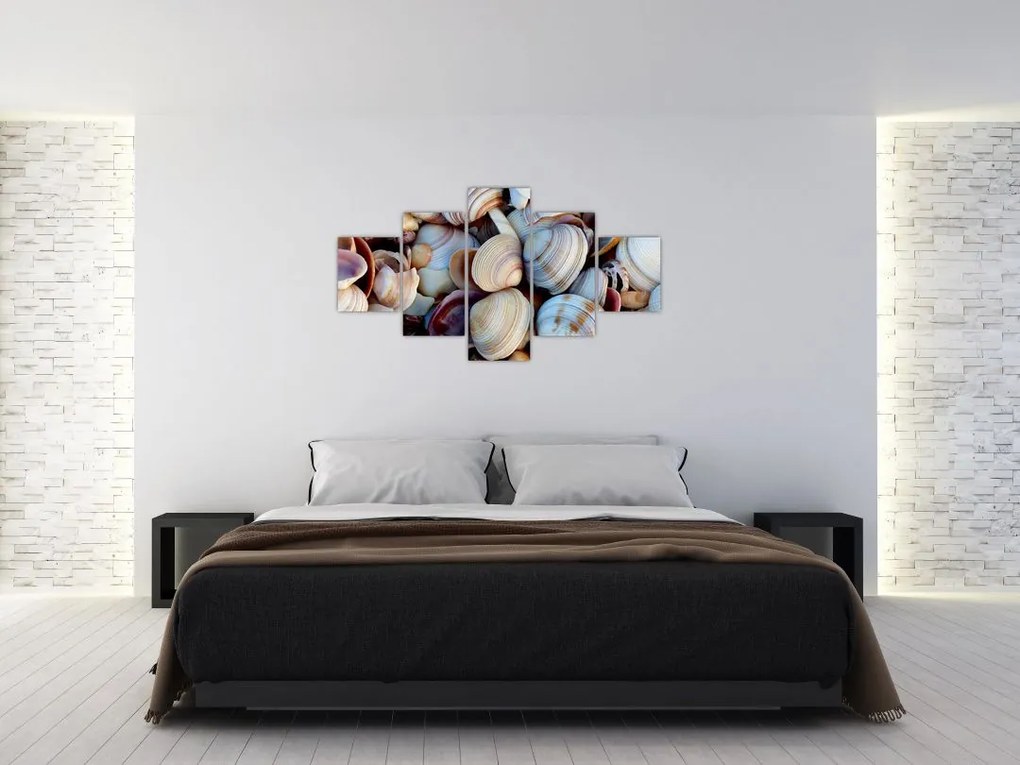 Obraz muszelek (125x70 cm)