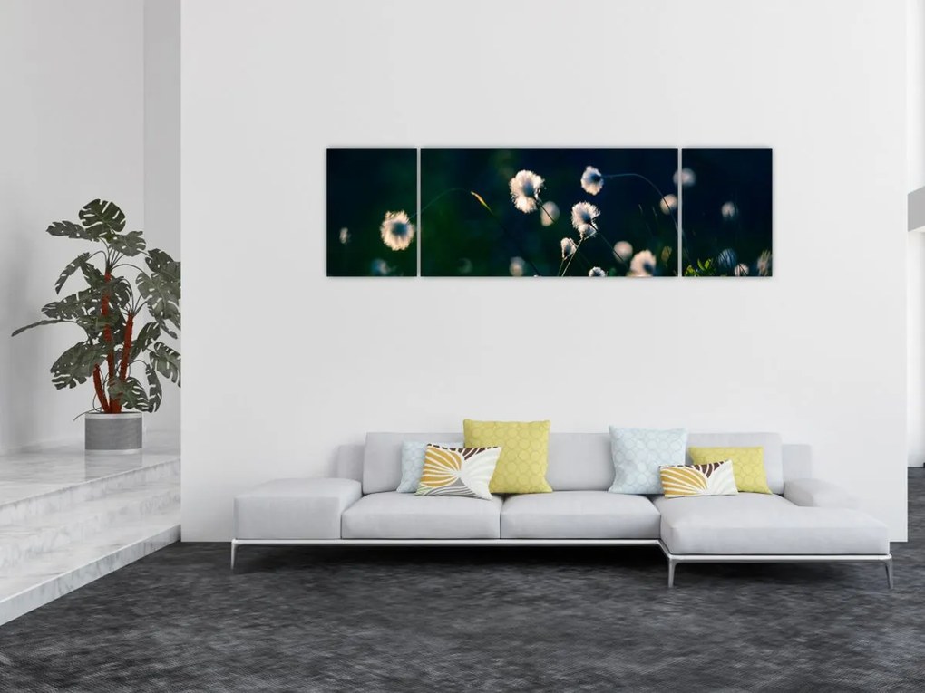 Obraz - Trawa (170x50 cm)