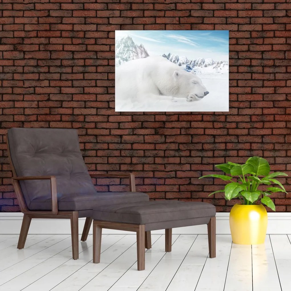 Obraz na szkle - Niedźwiedź polarny (70x50 cm)