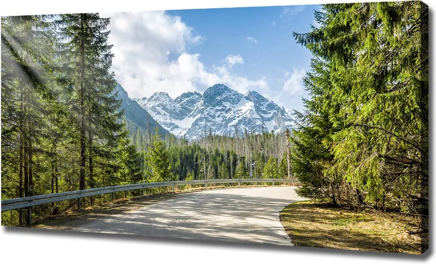 Foto obraz canvas Droga Tatry