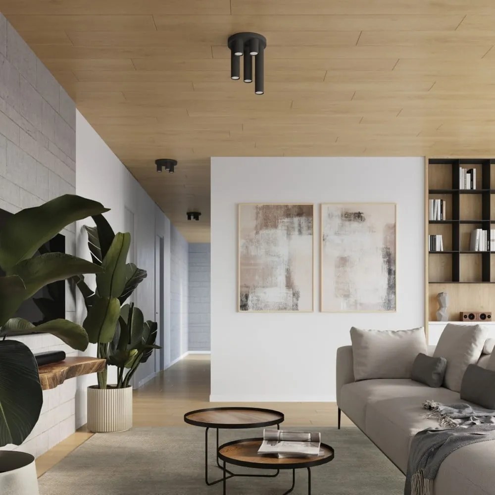 Czarna lampa sufitowa Castro – Sollux