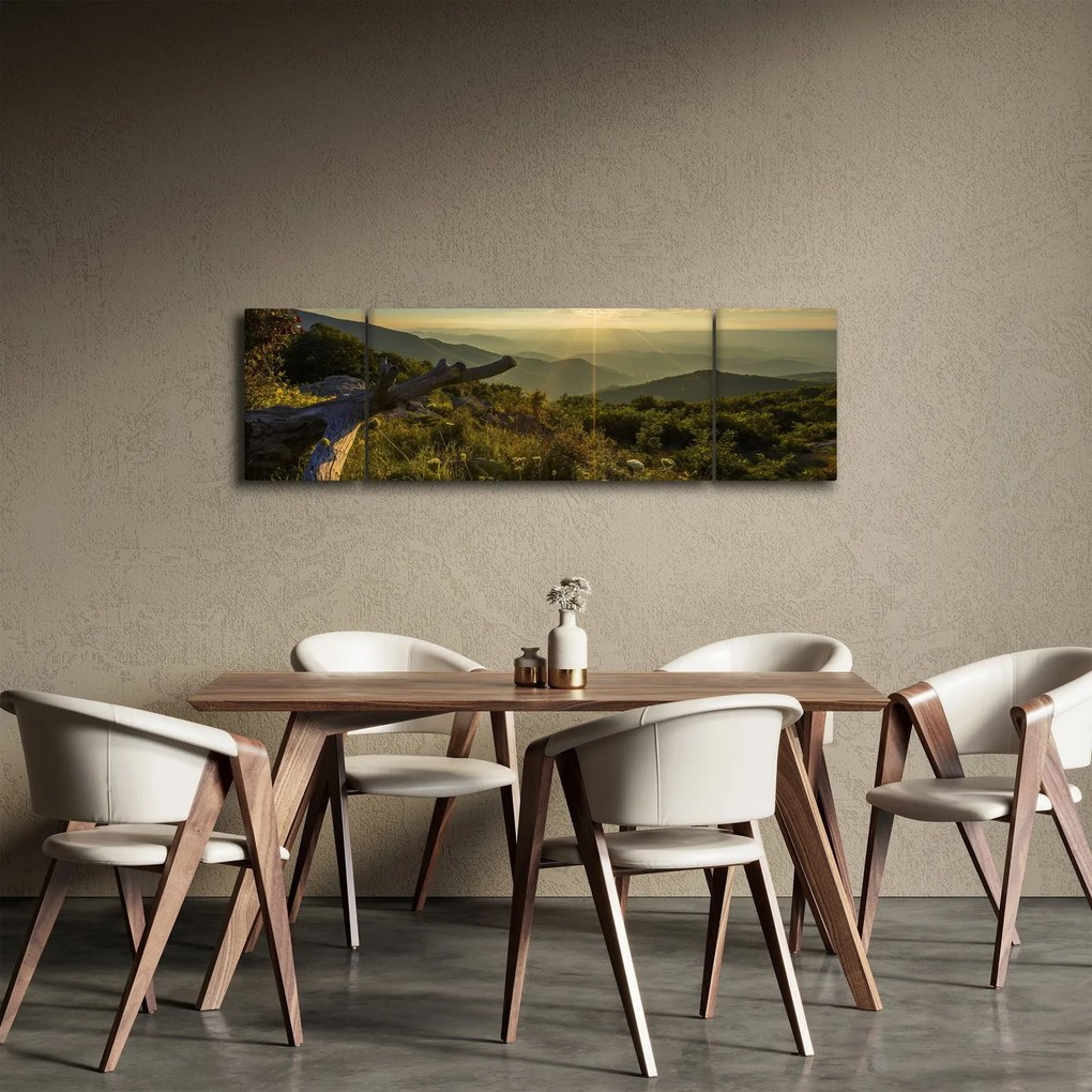 Obraz - Widok na otoczenie (170x50 cm)