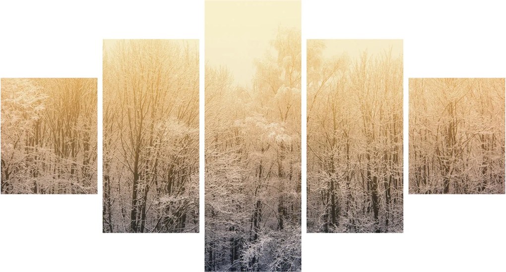 Obraz mroźnego lasu (125x70 cm)