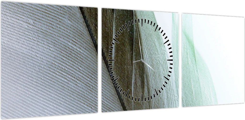 Obraz - Pióra, makro (z zegarem) (90x30 cm)
