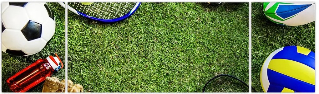 Obraz - Sport (170x50 cm)