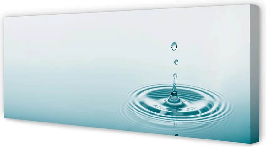 Duży obraz na płótnie Kropla Wody w Makrofotografii