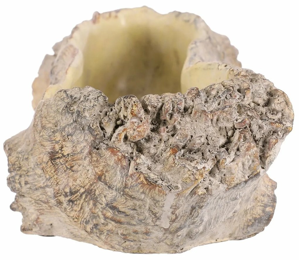 Osłonka na kwiaty w kształcie wydrążonego korzenia, 35 x 16 x 11 cm, beton