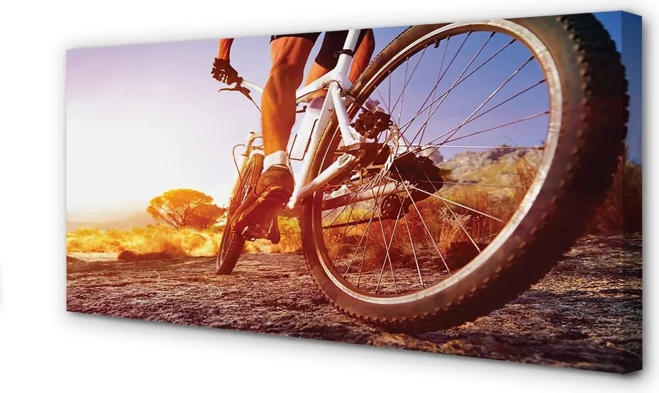 Obraz drukowany na płótnie Rower na Górskim Szlaku