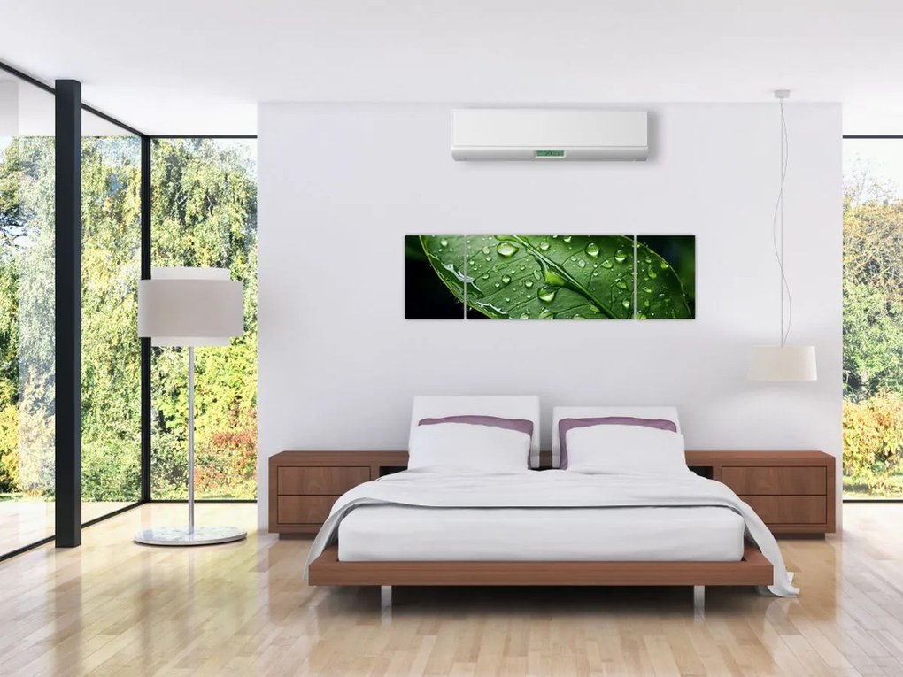 Obraz - Liść po deszczu (170x50 cm)