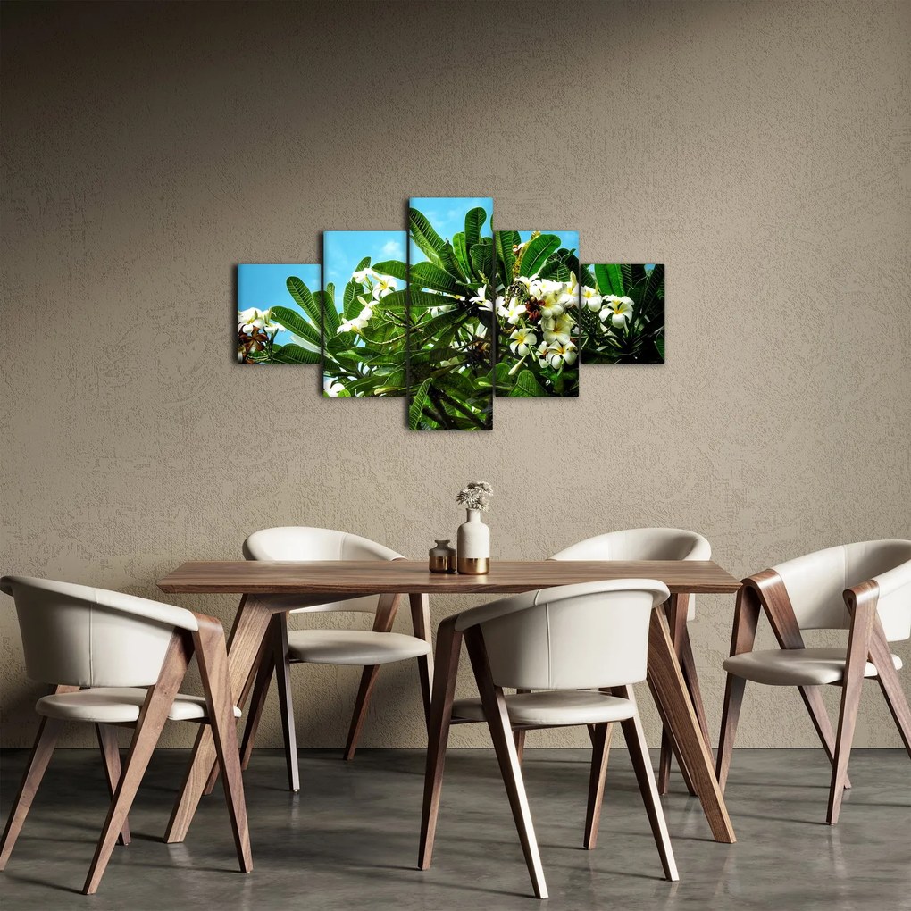 Obraz - Plumeria (125x70 cm)