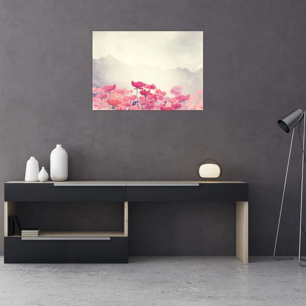 Obraz - Maki (70x50 cm)