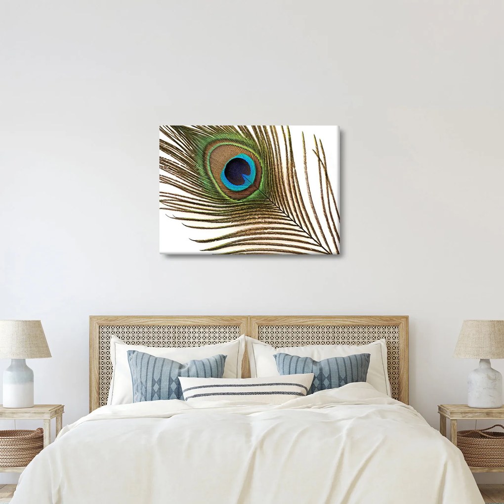 Obraz pawich piór (70x50 cm)