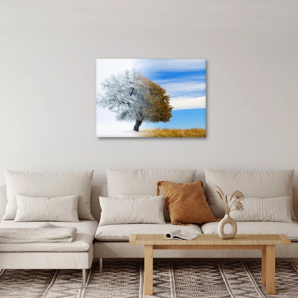 Obraz - Zmiana pór roku (70x50 cm)