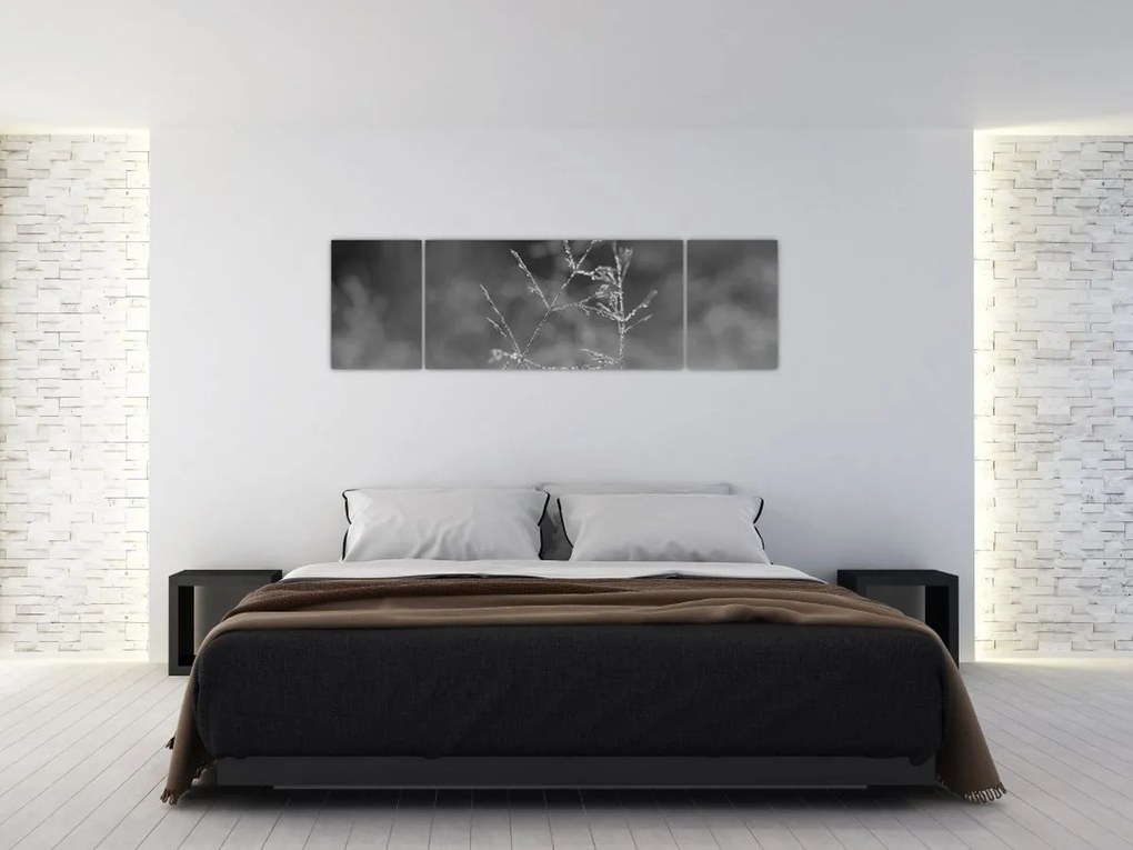 Obraz - Wiejska łąka (170x50 cm)