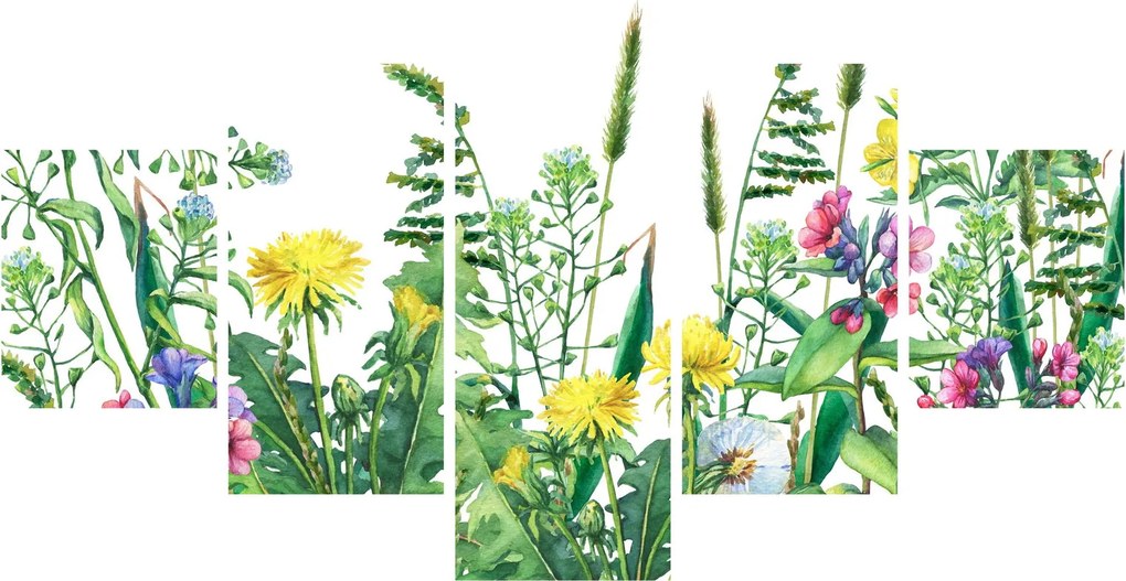 Obraz - Malowane kwiaty łąkowe (125x70 cm)