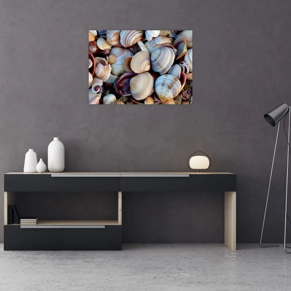 Obraz na szkle muszelek (70x50 cm)