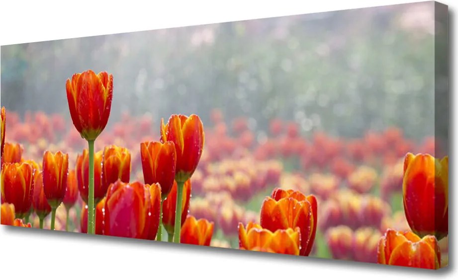 Fotoobraz na płótnie Wiosenny Bukiet Tulipanów
