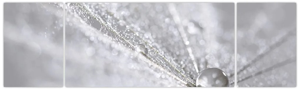 Obraz - Kropla wody (170x50 cm)