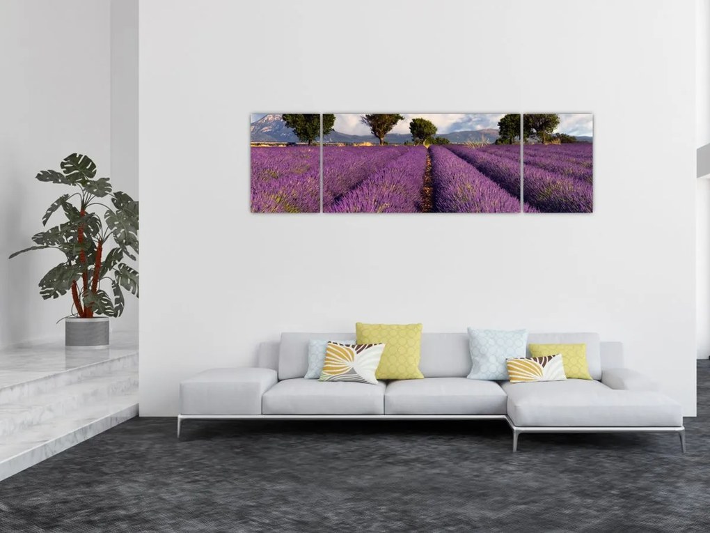 Obraz - Pole lawendy i góry (170x50 cm)