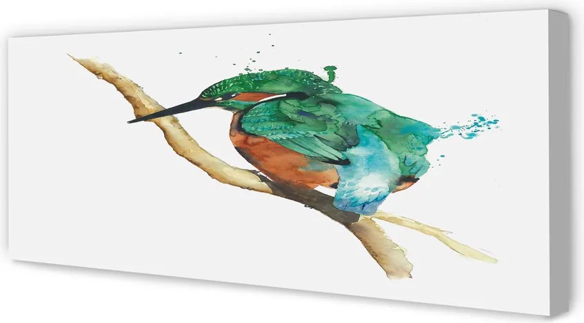 Zdjęcie na płótnie Malowana Kolorowa Papuga