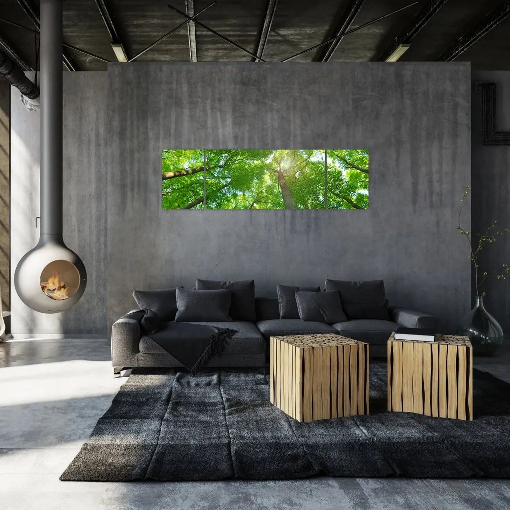 Obraz - Las (170x50 cm)