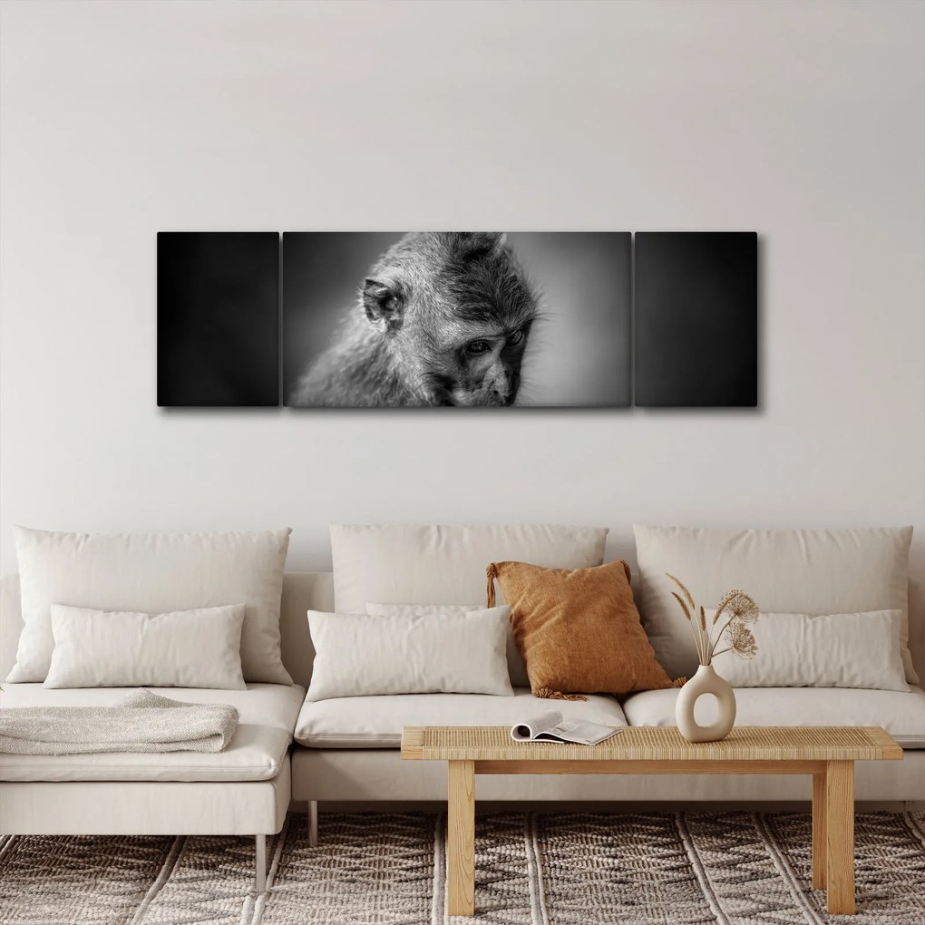 Obraz - Małpa (170x50 cm)