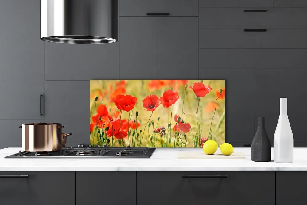 Szkło do Kuchni na Ścianę Polne Maki w Rozkwicie