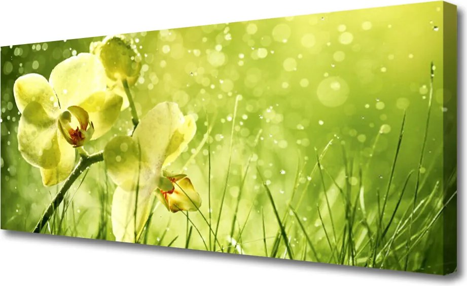 Obraz canvas Świeżość Zielonych Źdźbeł