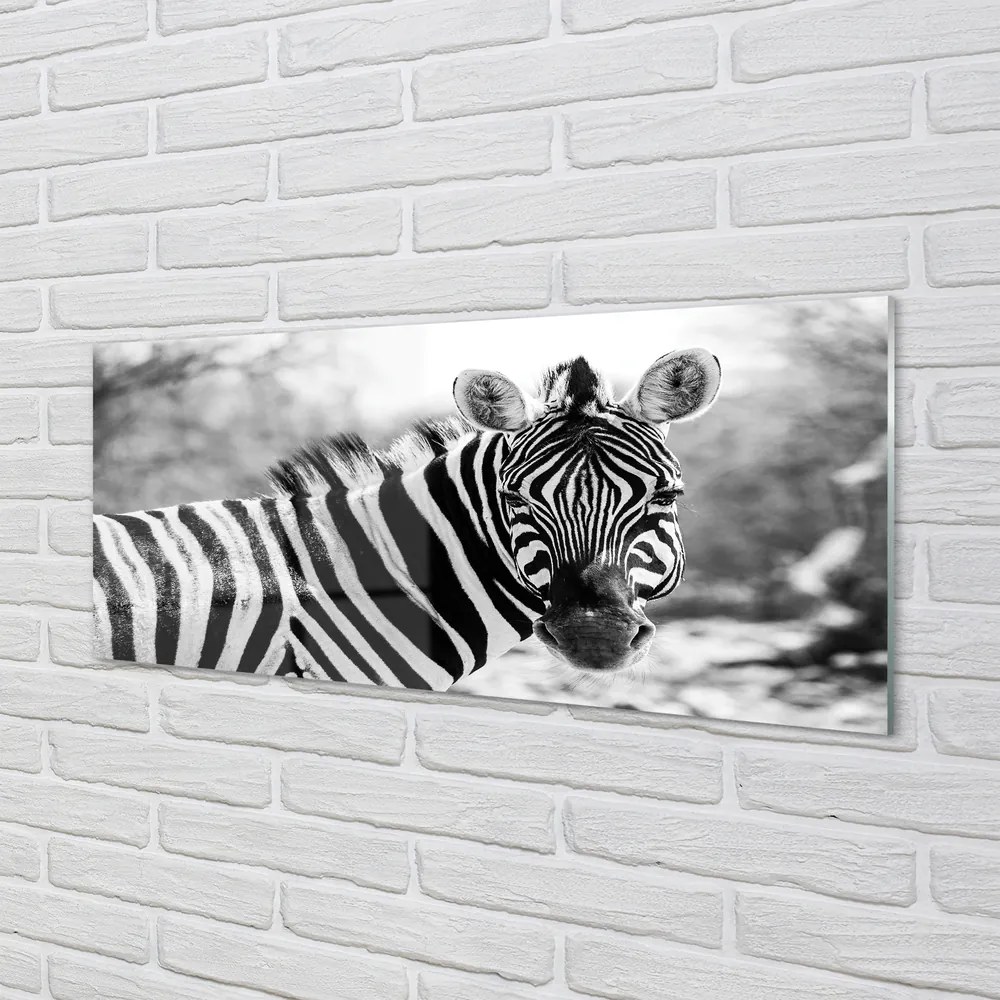 Panel szklany do Kuchni Zebra w Stylu Retro
