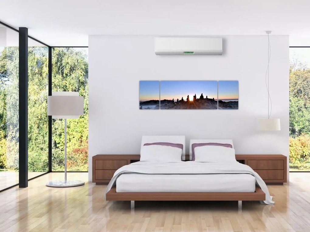 Obraz piaszczystej scenerii (170x50 cm)