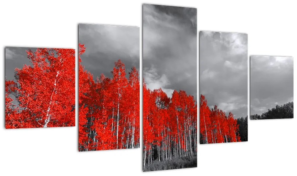 Obraz - Drzewa w kolorze jesieni (125x70 cm)