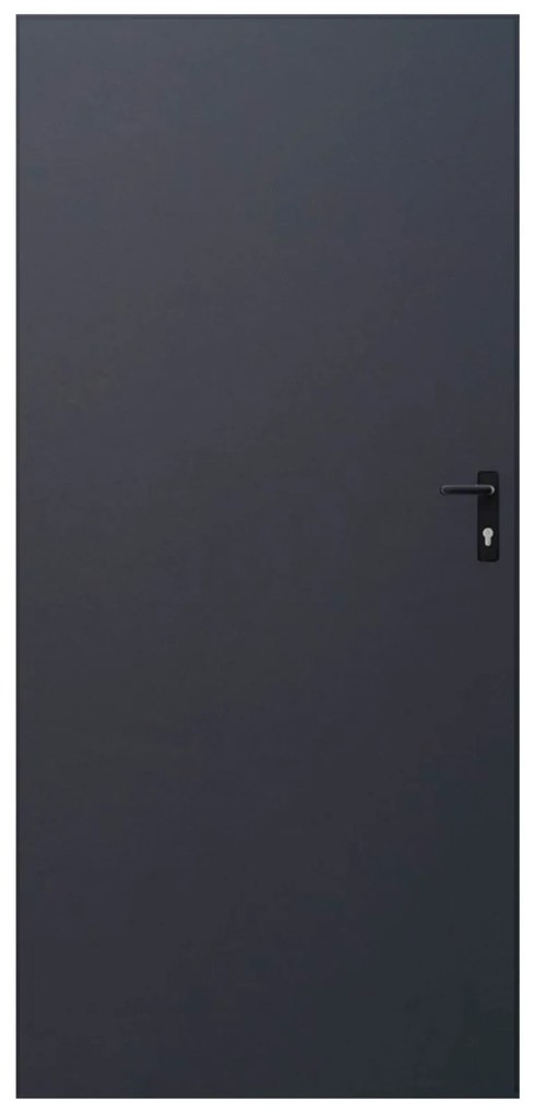Drzwi blaszane 90, lewa, antracyt