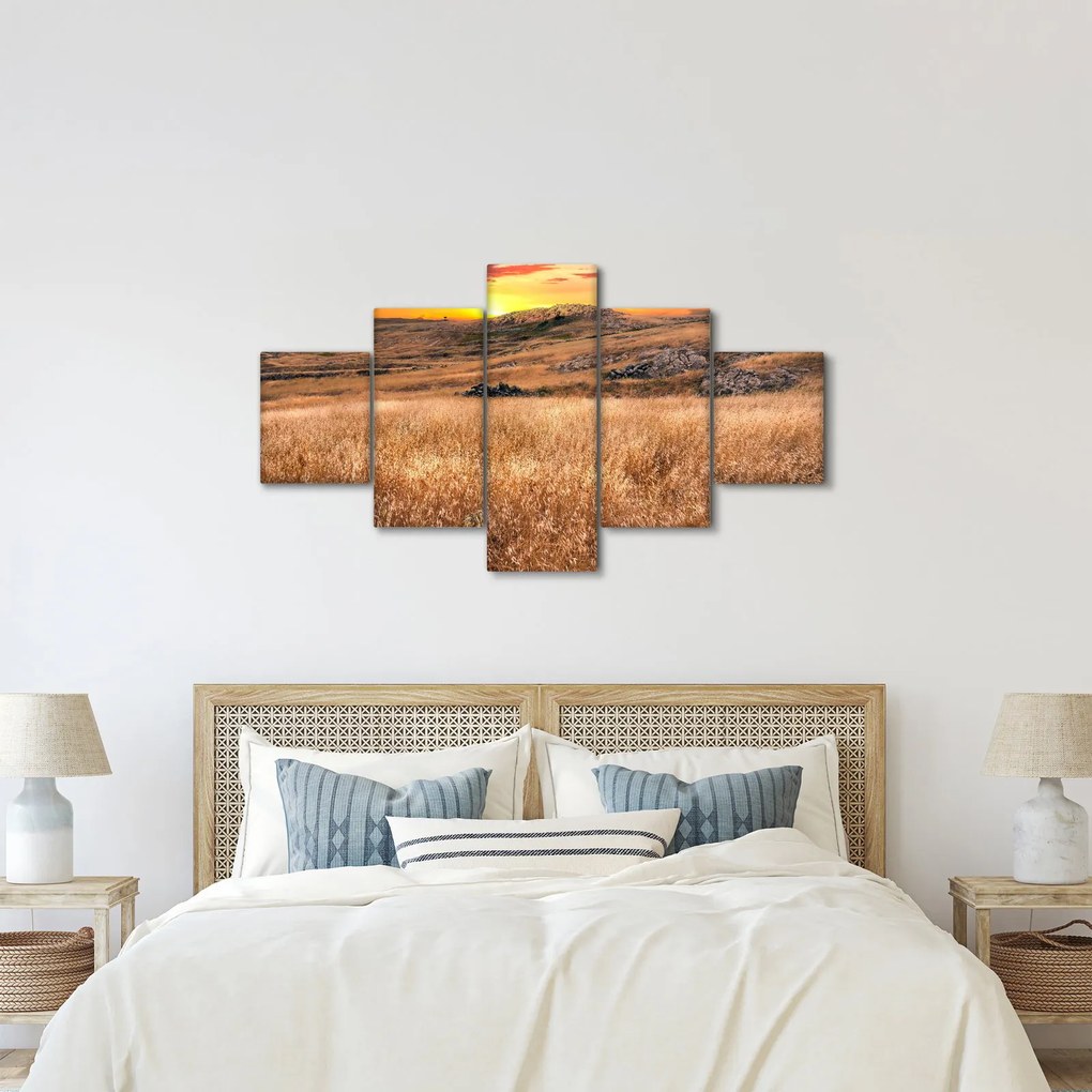 Obraz pola (125x70 cm)