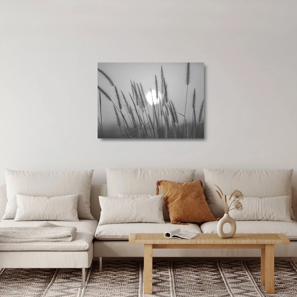 Obraz na szkle - Łąka o zachodzie słońca (70x50 cm)