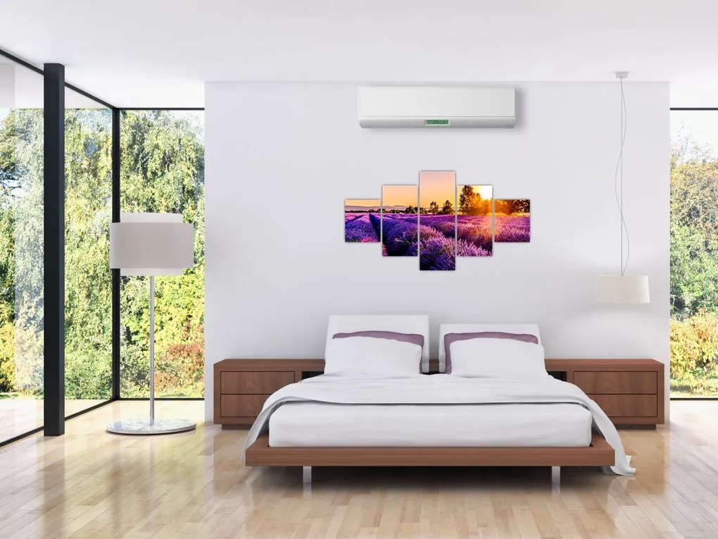 Obraz lawendowego pola (125x70 cm)