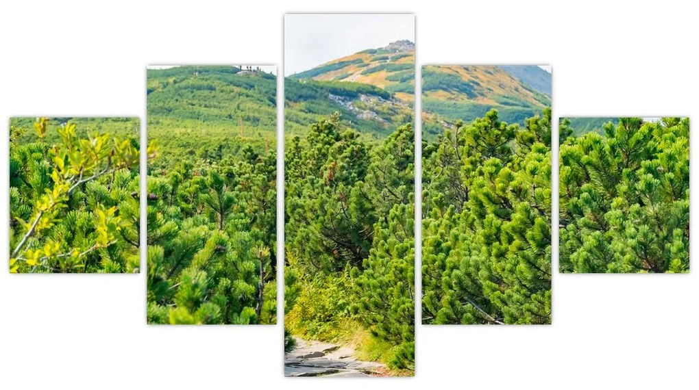 Obraz - Babia Góra, Polska (125x70 cm)