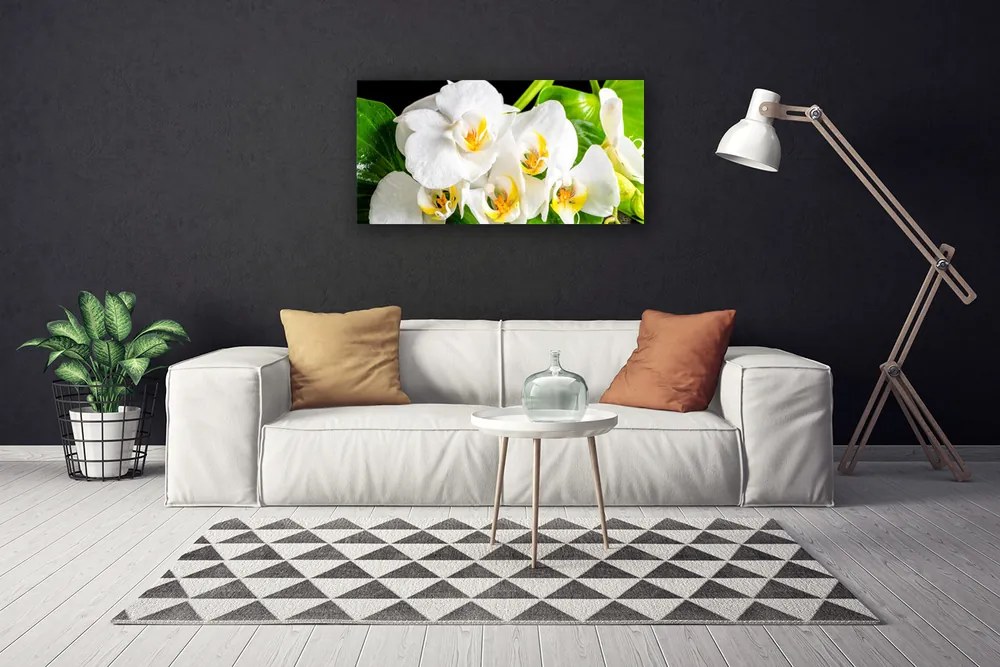 Obraz canvas Królewska Orchidea w Rozkwicie